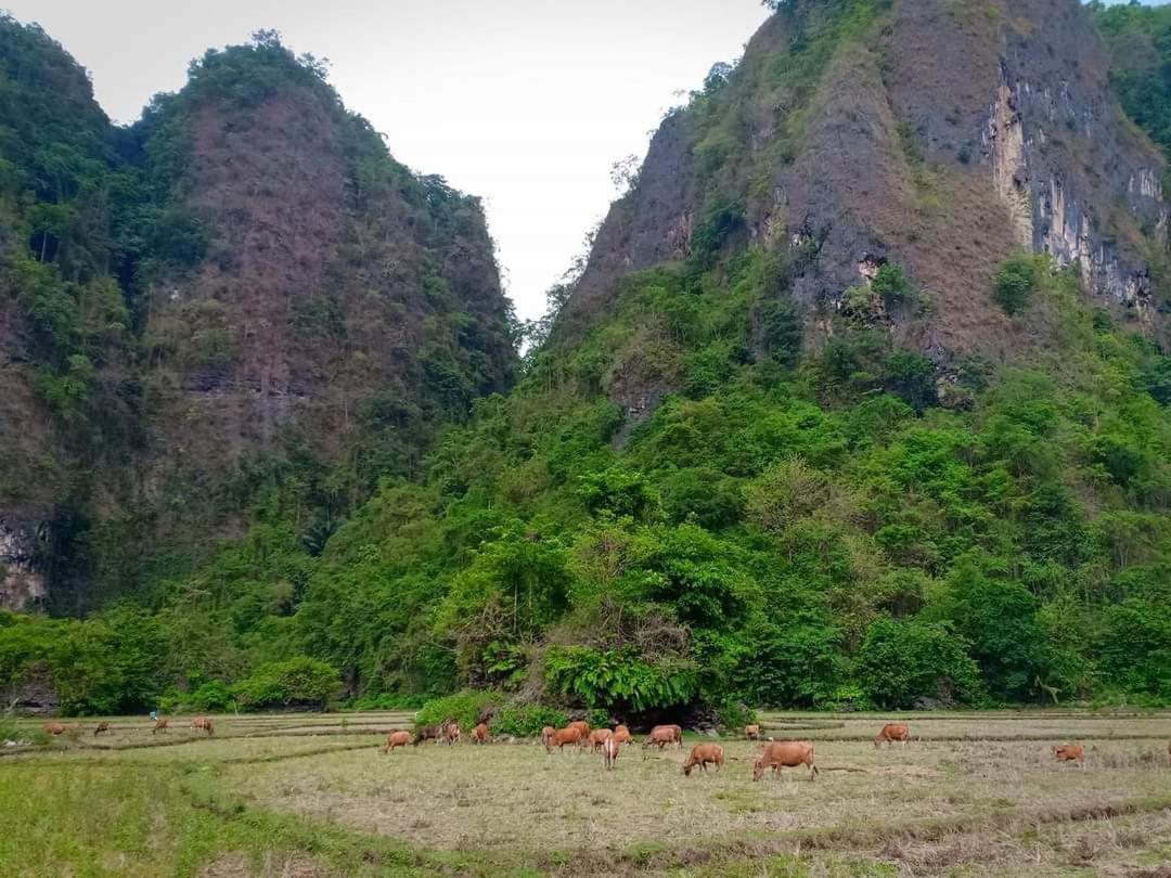 Kampoeng Karst Rammang Rammang Guest House Kasijala Exterior foto