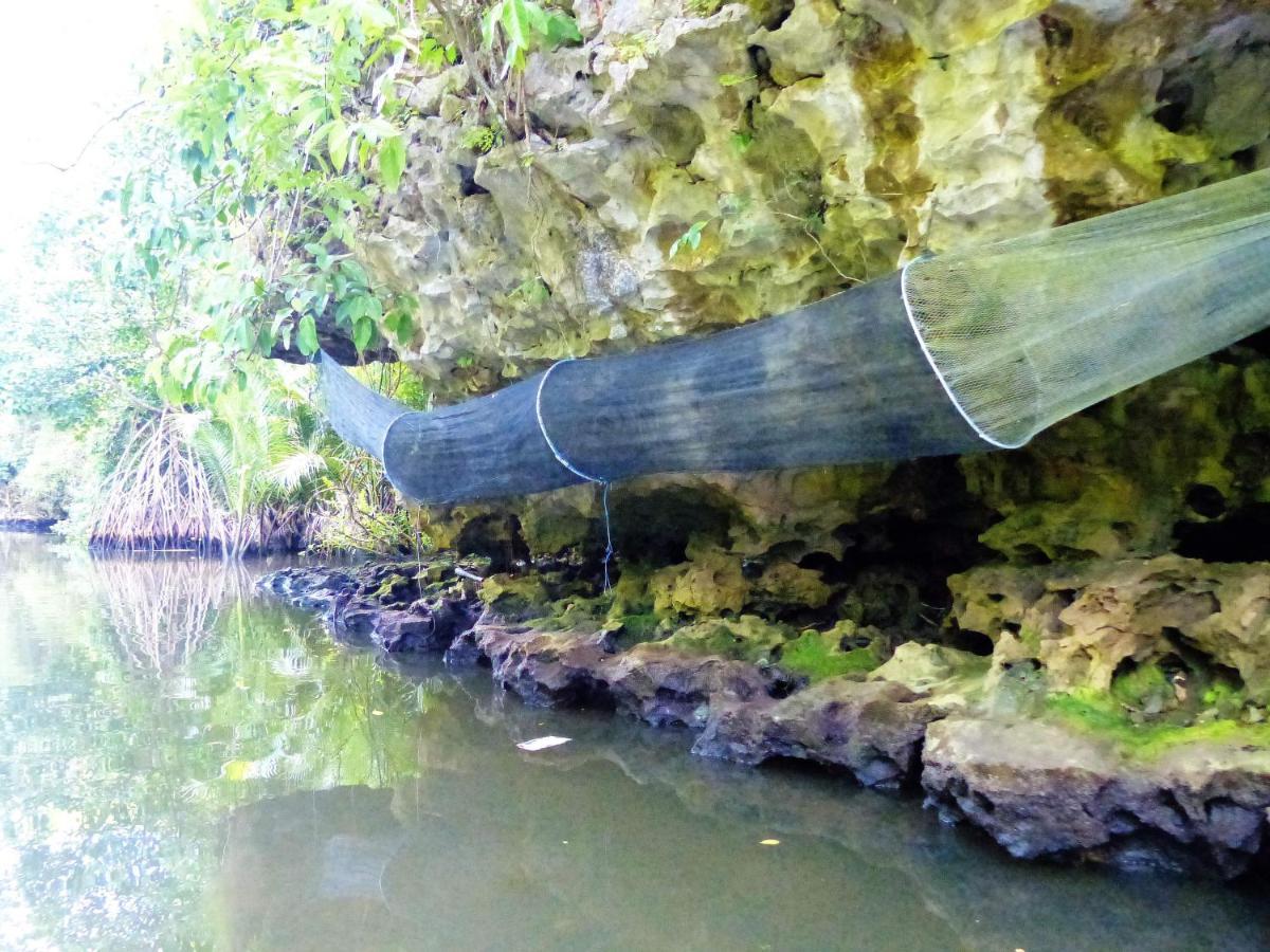 Kampoeng Karst Rammang Rammang Guest House Kasijala Exterior foto