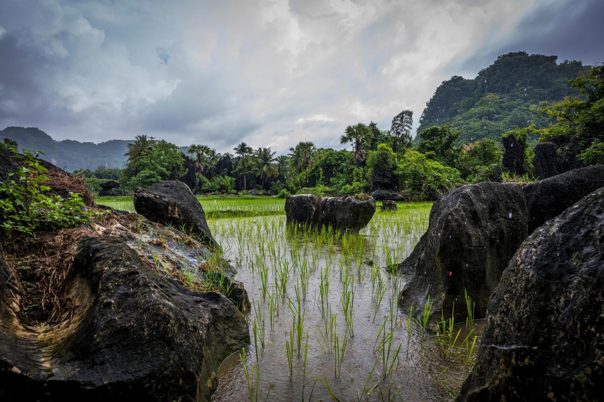 Kampoeng Karst Rammang Rammang Guest House Kasijala Exterior foto
