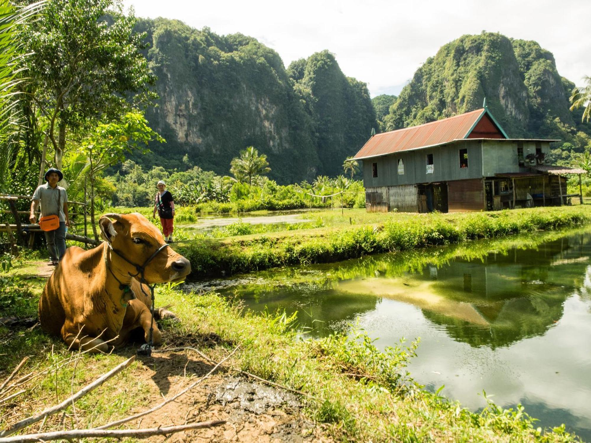 Kampoeng Karst Rammang Rammang Guest House Kasijala Exterior foto